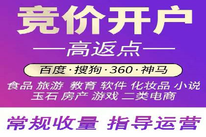 百度SEO推广公司经典之作：打造行业领先品牌